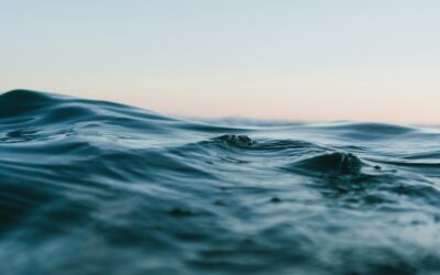 L’eau, matrice de la vie. Quels sont ses bienfaits ?